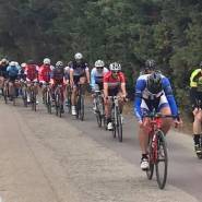 2254201398162560 7161655063235002368 n