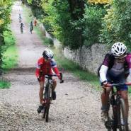 991651134519269 2058747639389749248 n