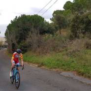 3065216073507665 1467061305331417088 o