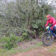 WhatsApp Image 2020 02 18 at 01.16.01 1