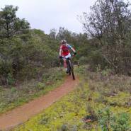 WhatsApp Image 2020 02 18 at 01.16.02 1