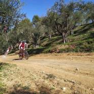 WhatsApp Image 2020 02 24 at 09.48.31 1