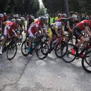 213410897454522 3299770460060661570 n