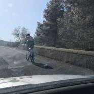 1371353096643371 198799572734845679 n