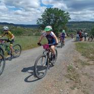 c3d31f1f cb18 4d3b bfe6 cb5c1351b053