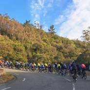 a00962ea 94cd 43da b1b1 a9a5b4c29d4d