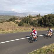 WhatsApp Image 2020 02 08 at 17.40.47